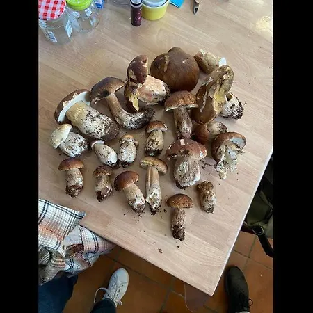 D'hotes La Maison De Monsieur Chaussette Frühstückspension Angles (Midi-Pyrenees)