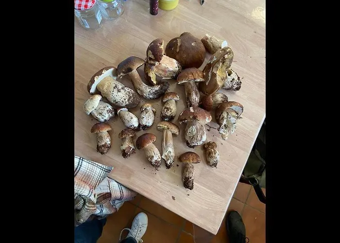 D'hotes La Maison De Monsieur Chaussette Bed & Breakfast Angles (Vendee)